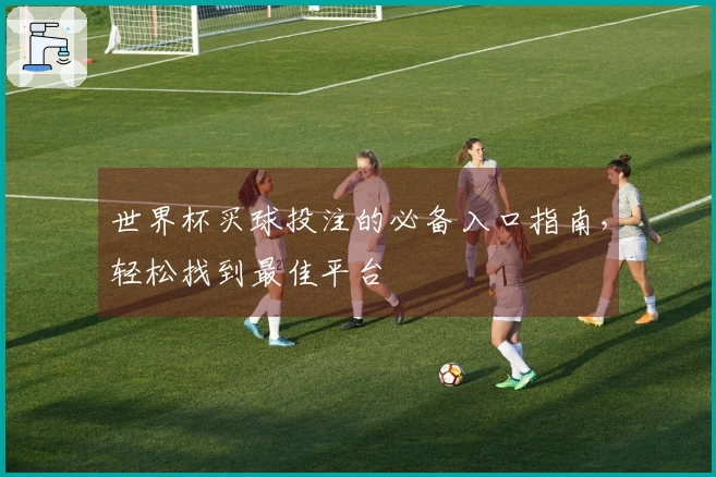 世界杯买球投注的必备入口指南，轻松找到最佳平台