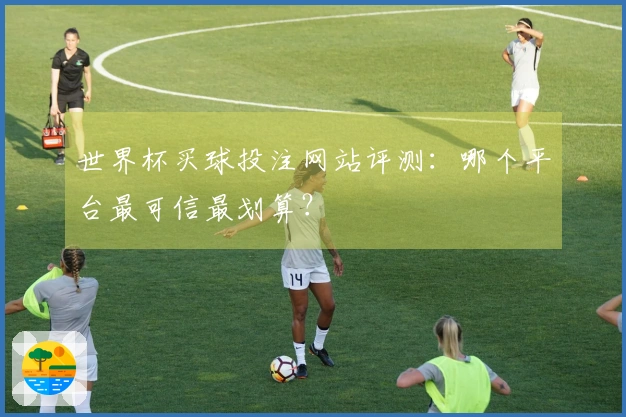 世界杯买球投注网站评测：哪个平台最可信最划算？