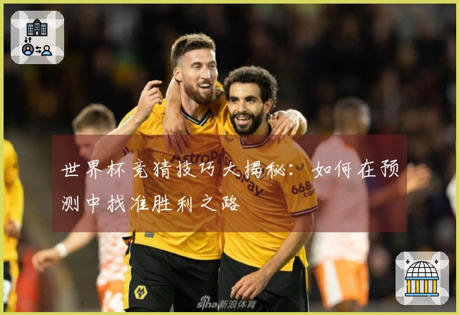 世界杯竞猜技巧大揭秘：如何在预测中找准胜利之路