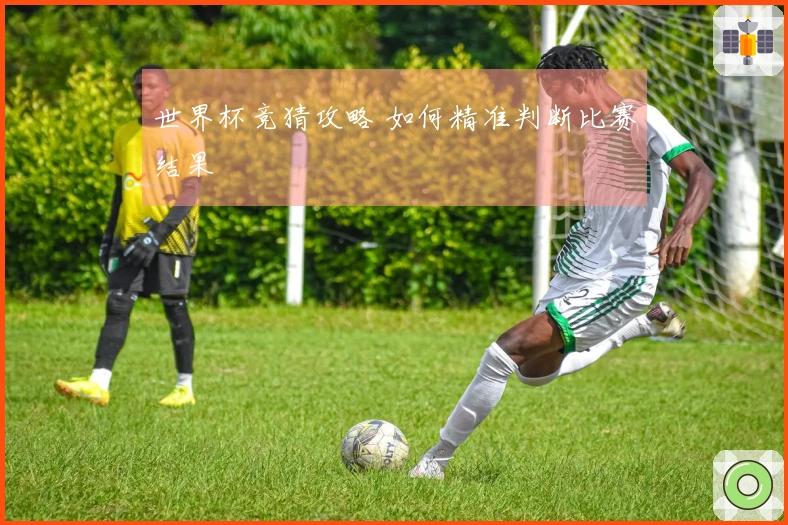 世界杯竞猜攻略 如何精准判断比赛结果