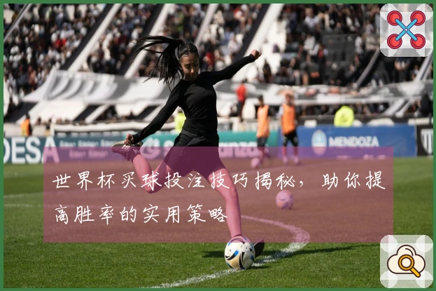 世界杯买球投注技巧揭秘，助你提高胜率的实用策略
