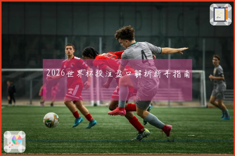 2026世界杯投注盘口解析新手指南